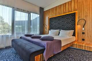 Отель Palanga Life Balance SPA Hotel Паланга Двухместный номер Делюкс с 1 кроватью и доступом в спа-центр - Здание Design-2